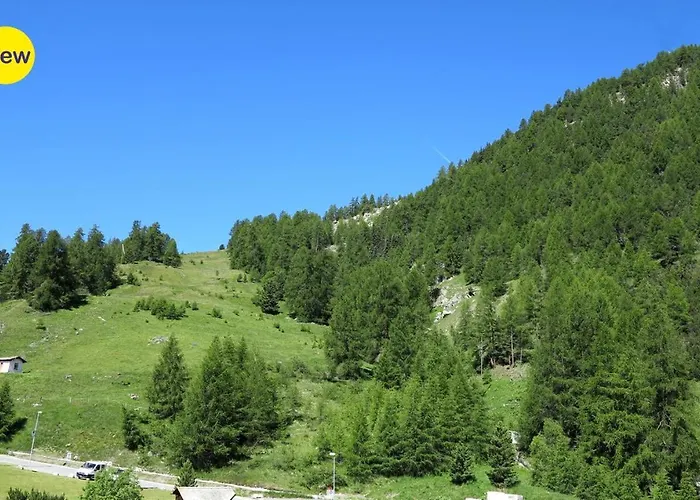 Cresta Ellie * Sankt Moritz